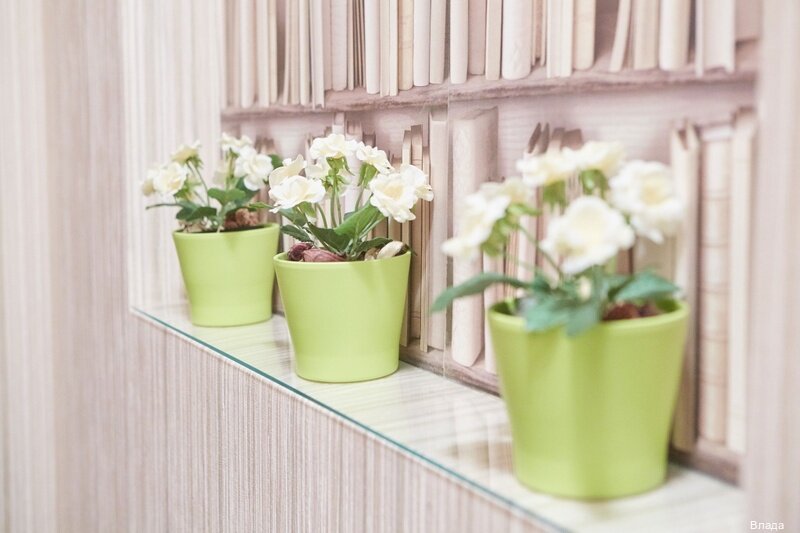 Гостиница Влада Уфа